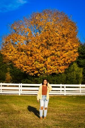 Fall Pictures